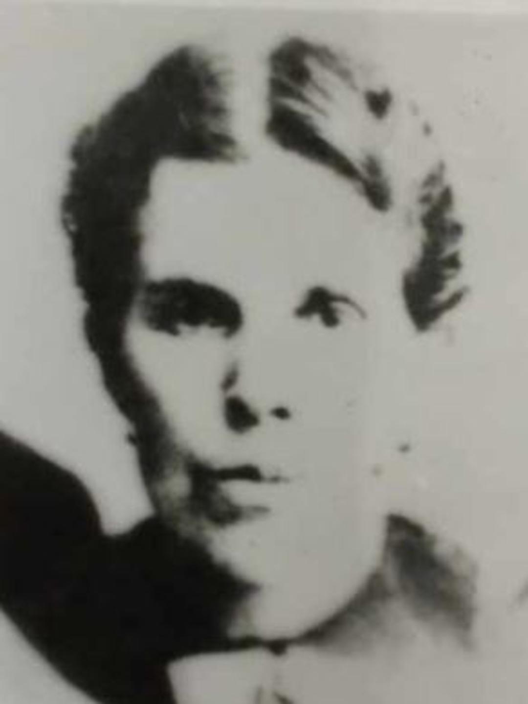 Annie Elizabeth Lewis (1848 - 1917) Profile